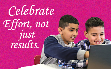 Celebrate Effort, not just results. banner
